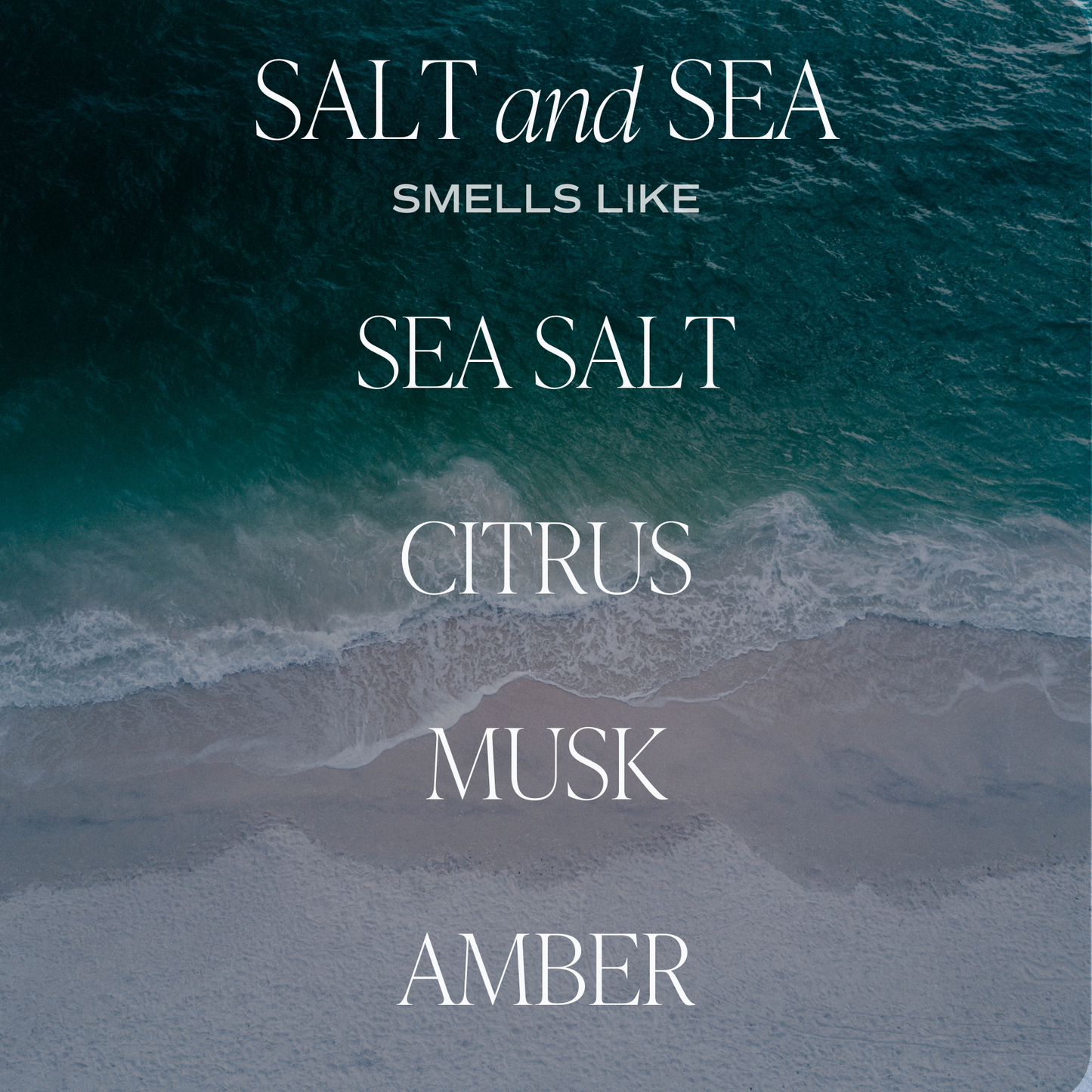 Sweet Water Decor - Salt and Sea 11 oz Soy Candle