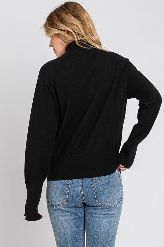 Thin Long Sleeve Turtle Neck Sweater