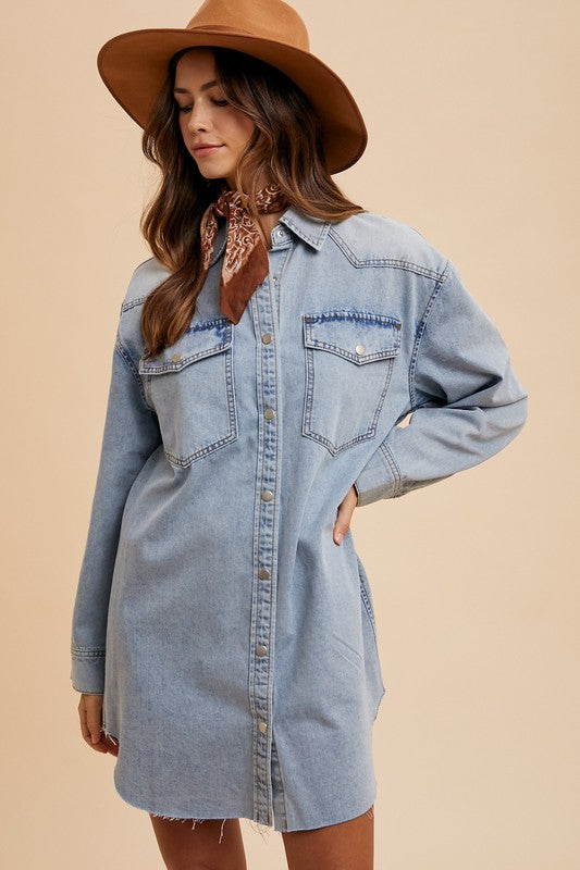 Denim Button Down Shirt Dress