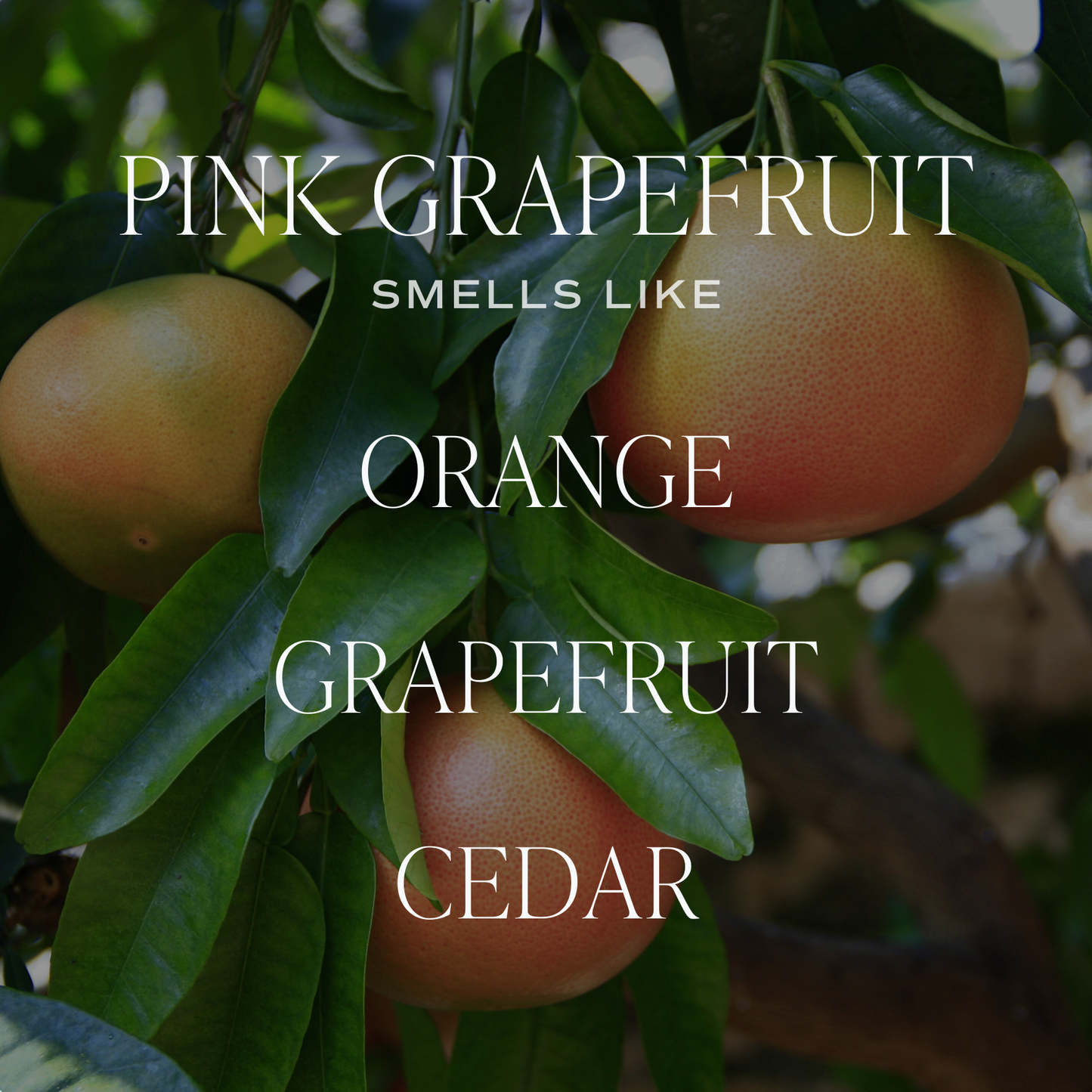 Sweet Water Decor - Pink Grapefruit 11 oz Soy Candle