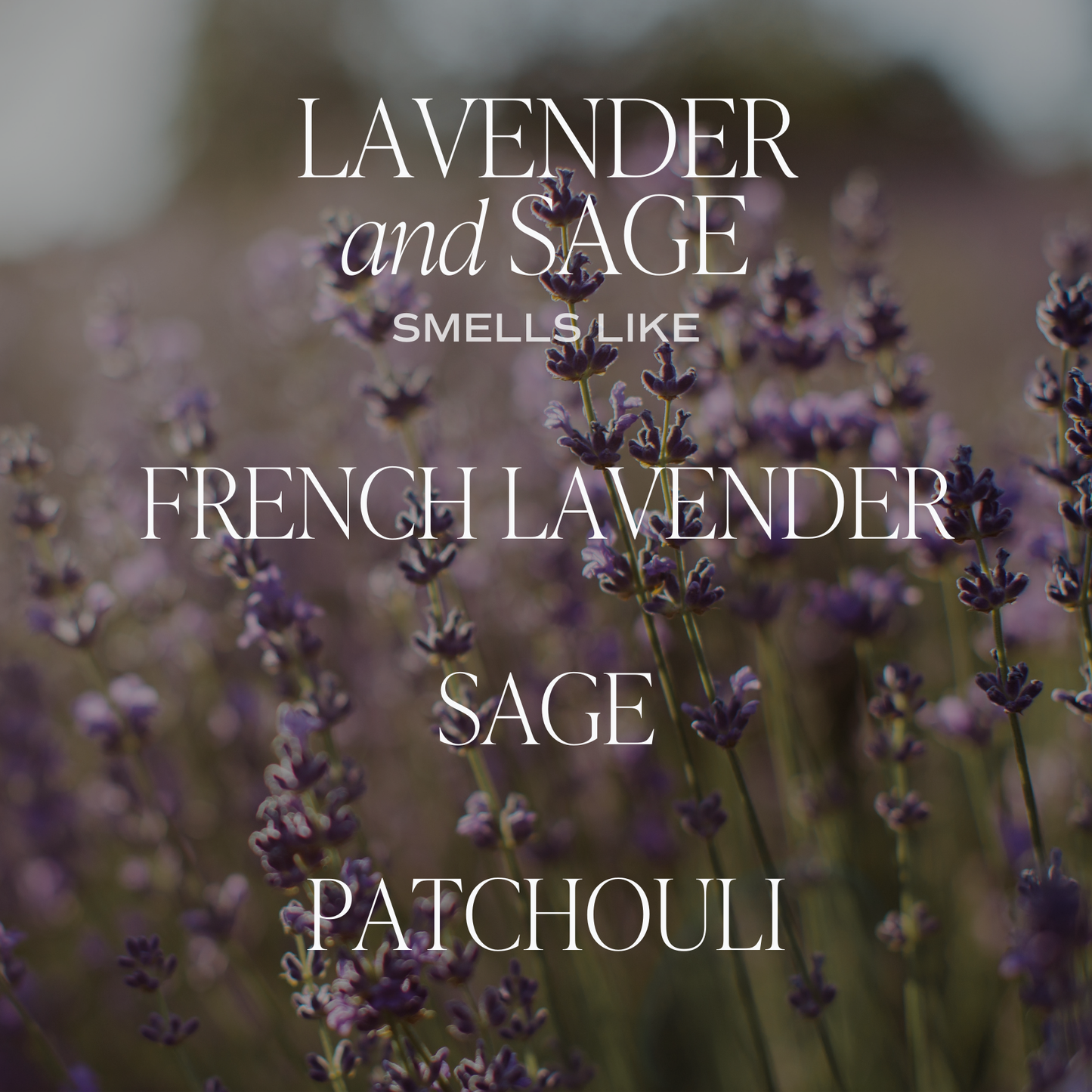 Sweet Water Decor - Lavender and Sage 11 oz Soy Candle