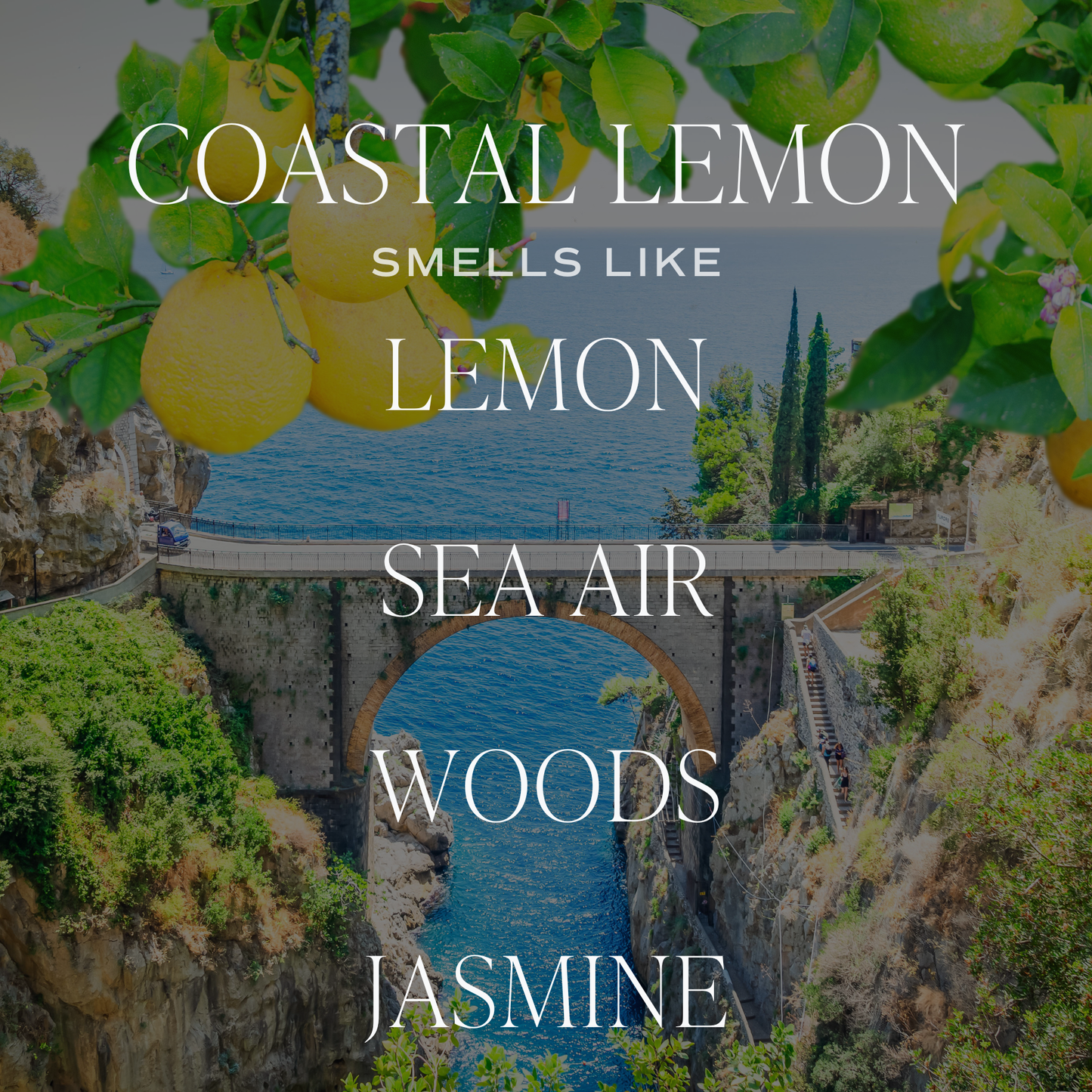 Sweet Water Decor - Coastal Lemon 11 oz Soy Candle