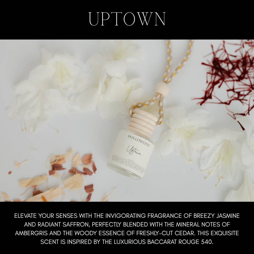 HOLLOWOOD FRAGRANCE - Everyday Scents Car Diffuser: SKIP LAUNDRY DAY
