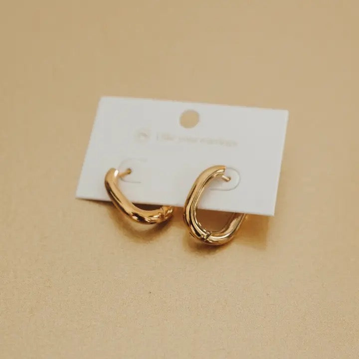Flirty Fantasy Oval Hoop Earrings