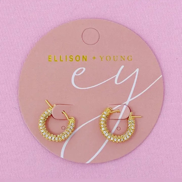 Elegant Shine Hoop Earrings